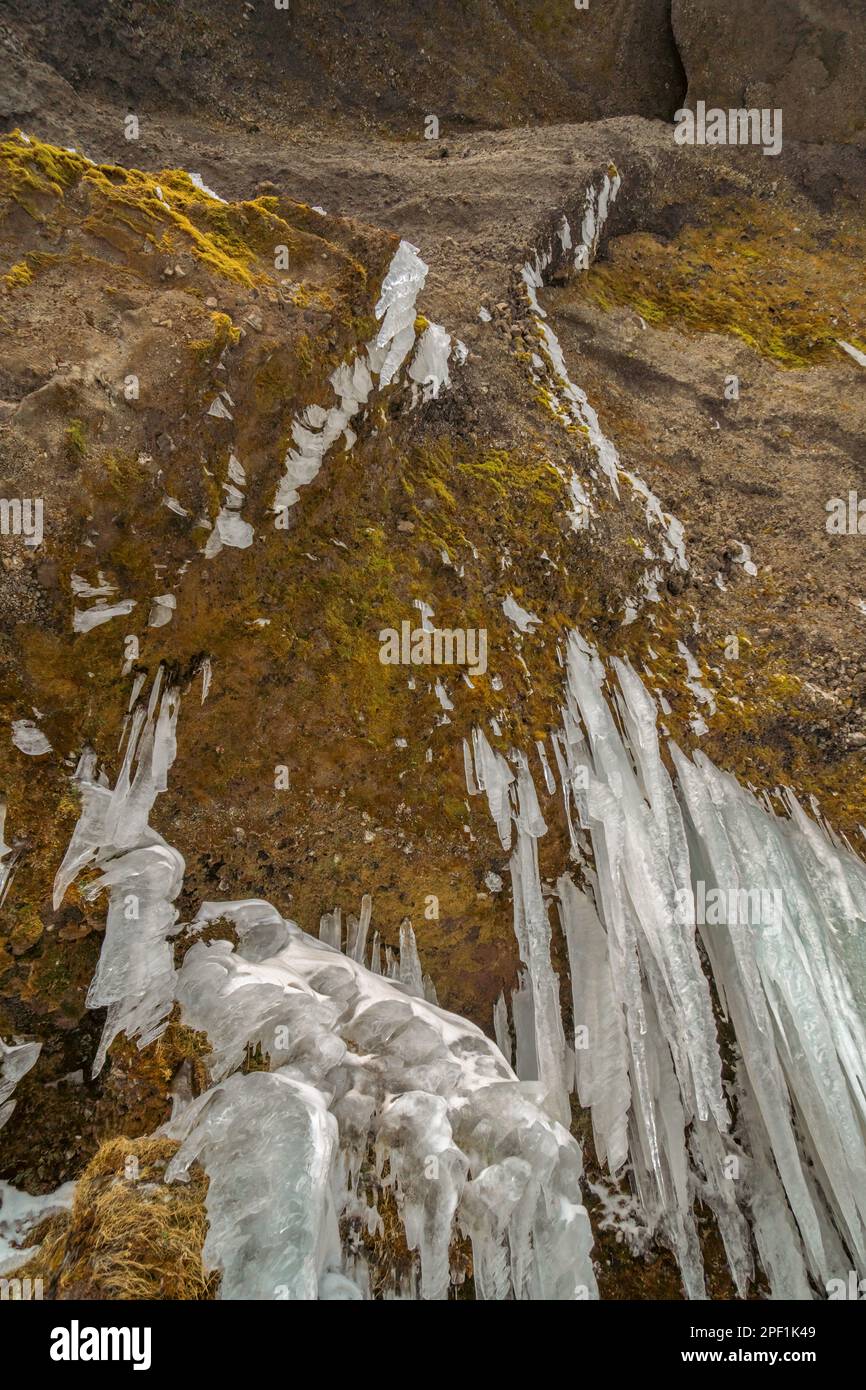 Alto muro di montagna in cima con muschio e stalattiti fang-come accanto alla cascata Kvernufoss in Islanda Foto Stock