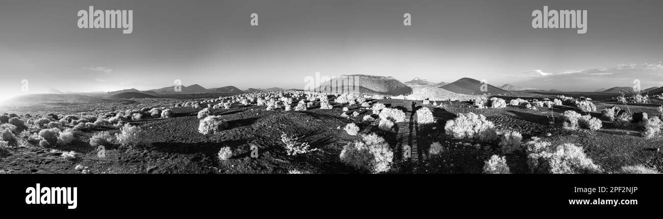 Paesaggio vulcanico a Lanzarote, parco nazionale Timanfaya alla luce del mattino Foto Stock