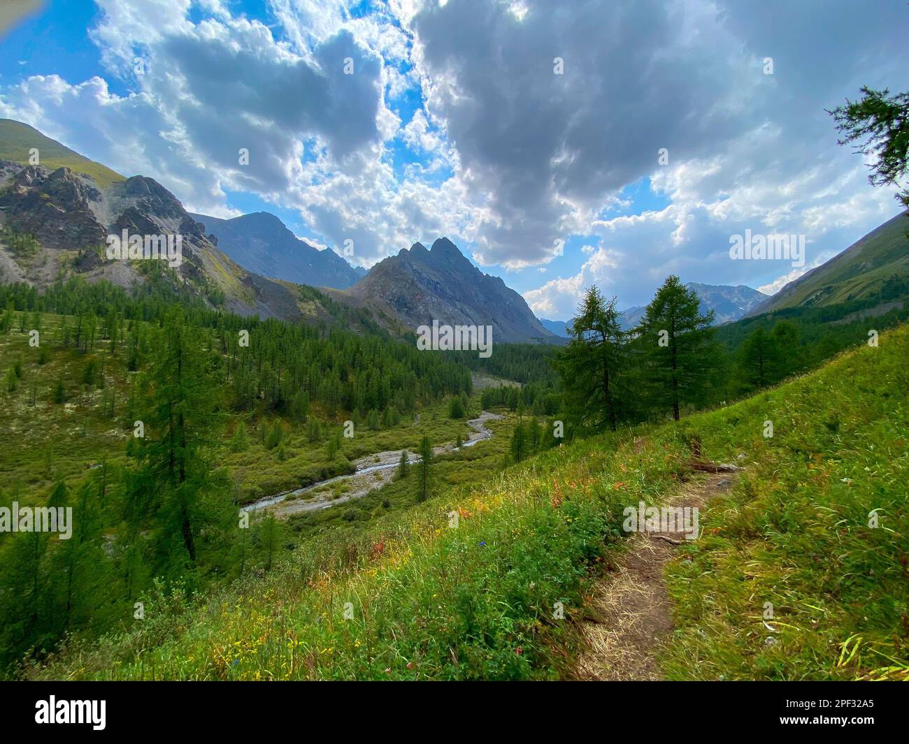 Sentiero panoramico in erba tra montagne e rocce sotto le nuvole in Altai in Russia con il fiume Karakabak Foto Stock