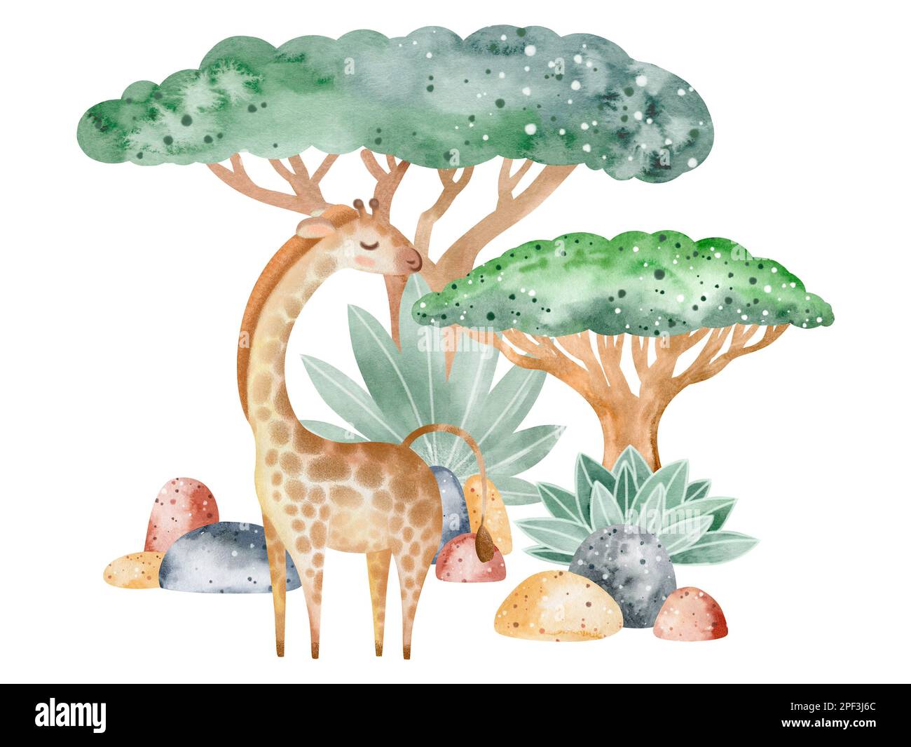 Set di illustrazioni acquerello di animali della Savannah in natura. Illustrazione per bambini di animali su sfondo bianco. Disegnato a mano. Foto Stock