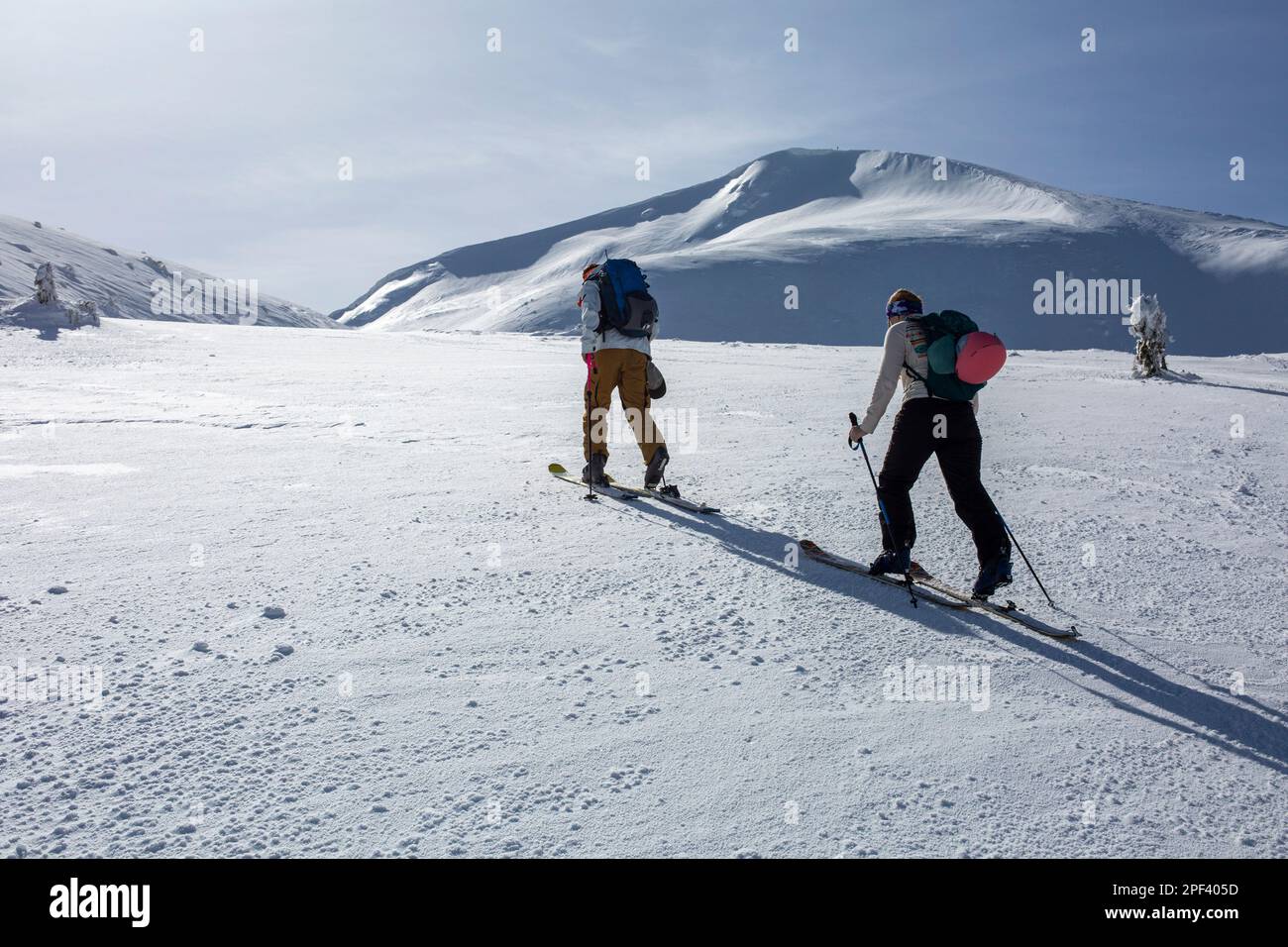 L'aspra bellezza delle montagne invernali è lo sfondo perfetto per un gruppo di sciatori, che salgono ardentemente verso l'alto, con gli occhi fissi sulla pri Foto Stock