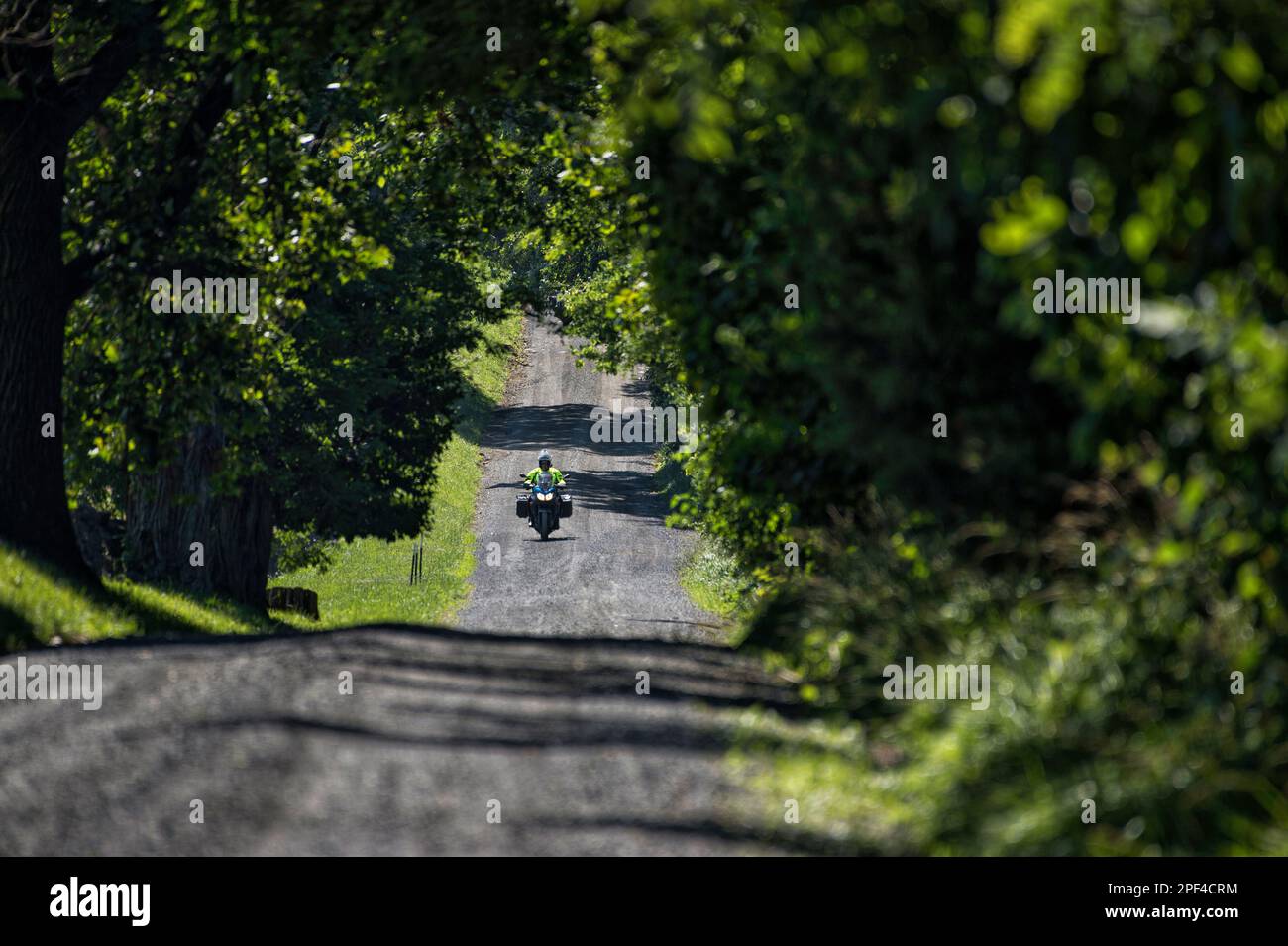 Stati Uniti - Giugno 30, 2019: Motociclista tour le strade secondarie di Western Loudoun qui andando verso ovest a Millville Road. (Foto di Douglas Graham/WLP) Foto Stock