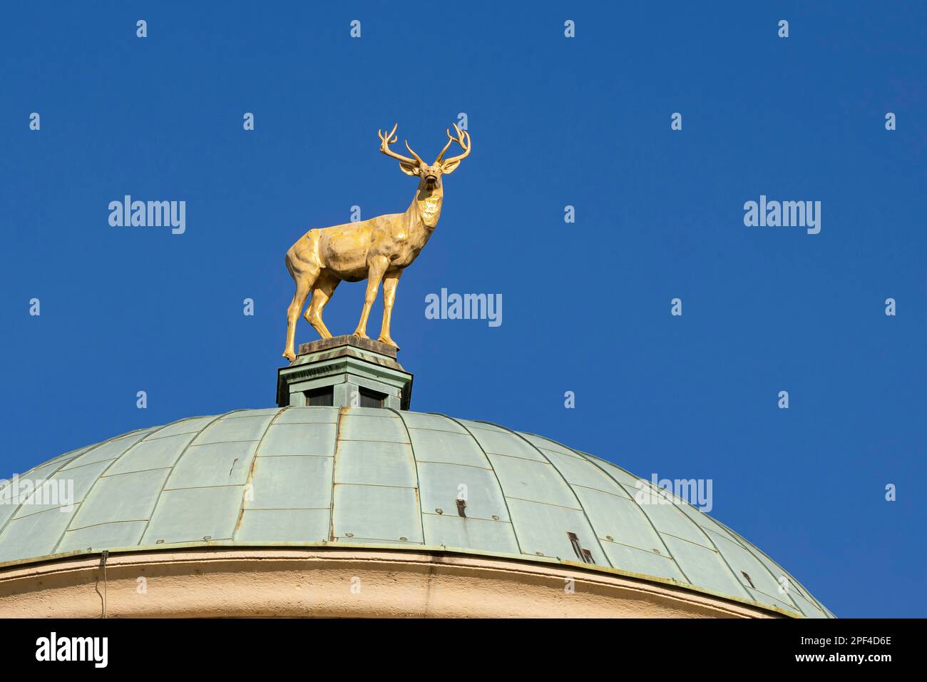 Sulla cupola dell'edificio della società d'arte di Wuerttembergischer, Stoccarda, Baden-Wuerttemberg, Germania Foto Stock