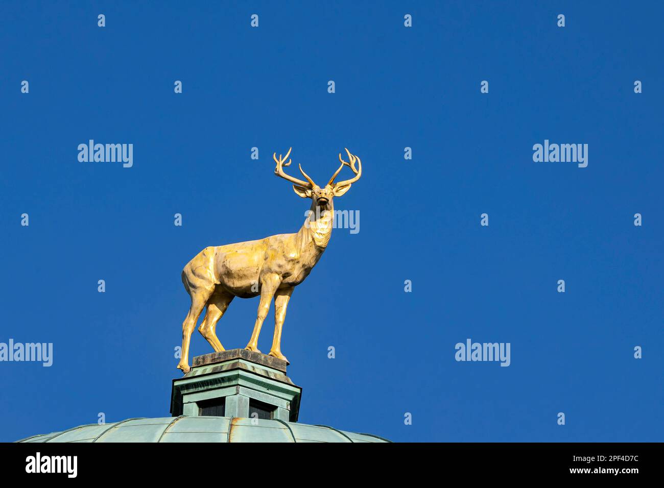 Sulla cupola dell'edificio della società d'arte di Wuerttembergischer, Stoccarda, Baden-Wuerttemberg, Germania Foto Stock