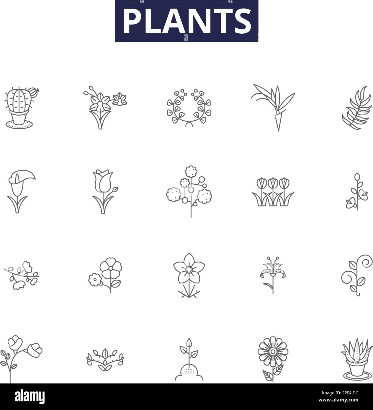 Icone e segni vettoriali linea piante. Fotosintesi, Foliage, Botany, seme, radice, Abbondanza, sparare, insieme di illustrazione vettoriale di contorno di vegetazione Illustrazione Vettoriale