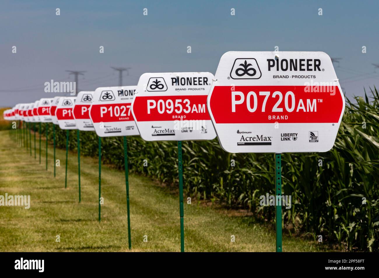 Sementi prodotte da Pioneer, colture geneticamente modificate, Eureka, Illinois, varietà, STATI UNITI Foto Stock