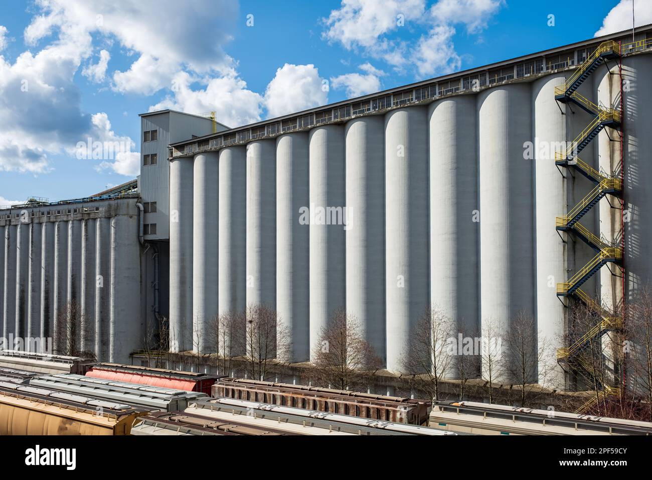 Ascensore per sili di grano su sfondo cielo blu. Un complesso di strutture agrarie progettato per essere stoccato. Alta struttura in cemento. Impianto di produzione per proce Foto Stock
