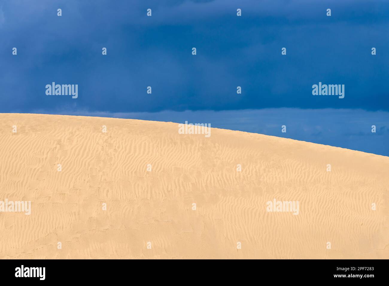 Vista delle dune di sabbia del deserto contro un cielo blu nuvoloso. Dune di Maspalomas in Playa del Ingles, Maspalomas, Gran Canaria, Spagna. Foto Stock