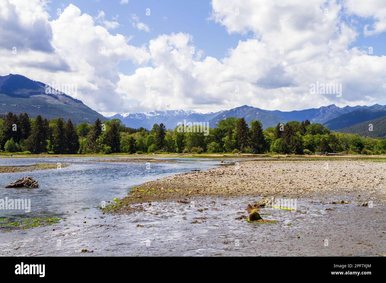 Una vista panoramica delle montagne olimpiche e del delta del fiume Dosewallips nel Dosewallips state Park sul canale Hood, Washington, USA. Foto Stock