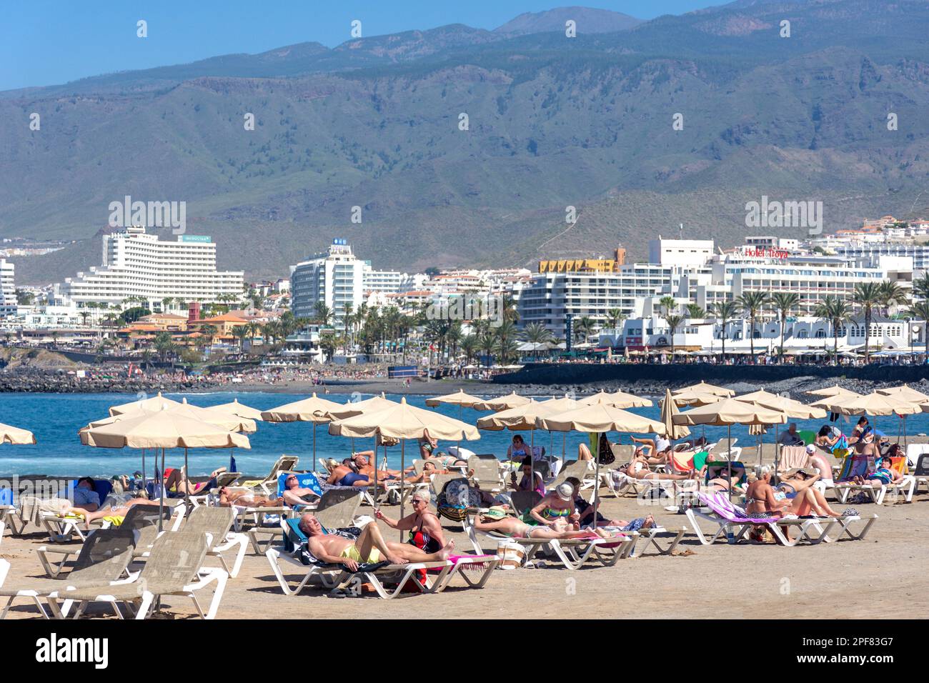 Vista sulla spiaggia e sul resort, Playa de las Américas, Tenerife, Isole Canarie, Regno di Spagna Foto Stock