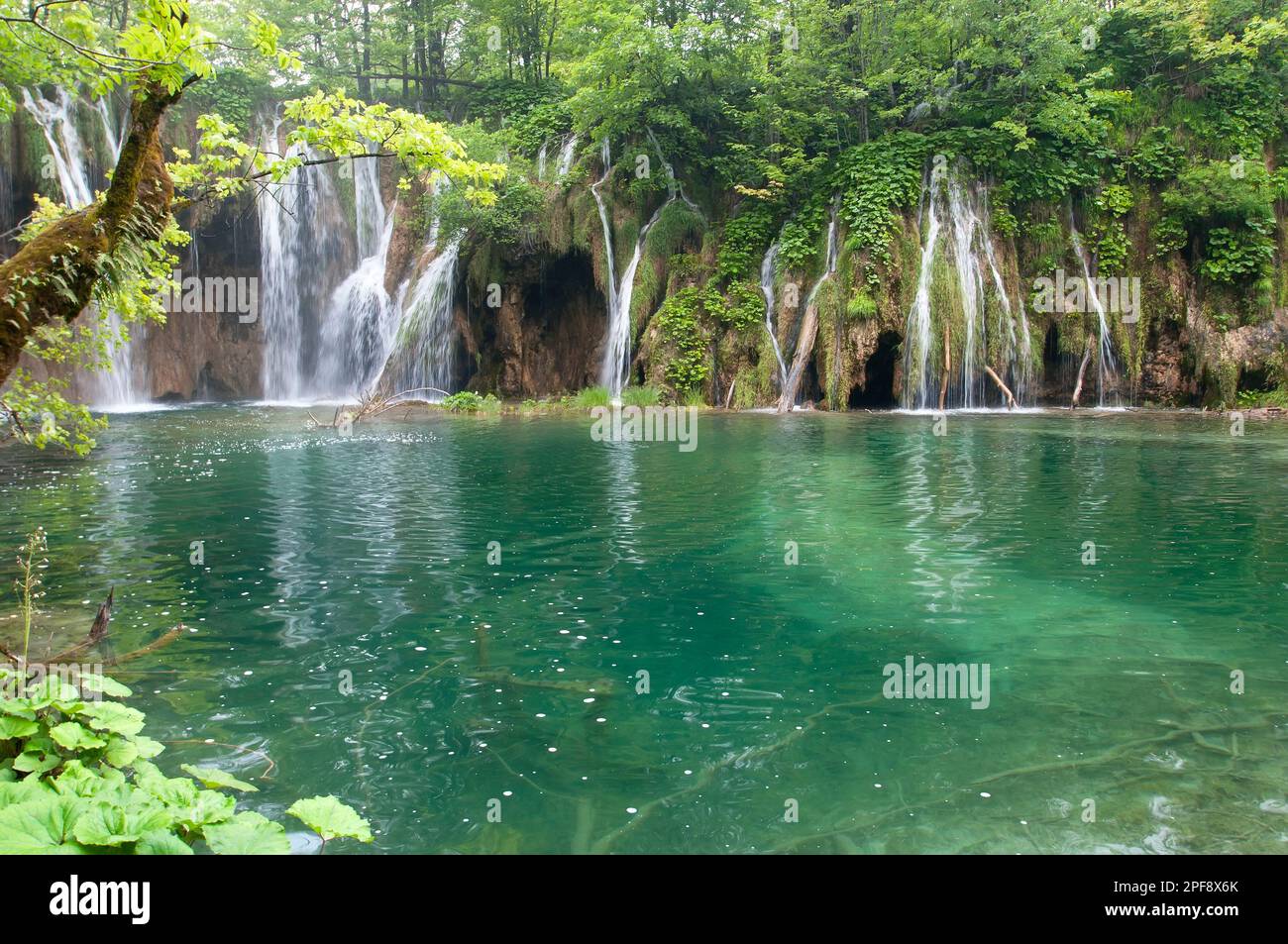 I laghi di Plitvice in Croazia Foto Stock