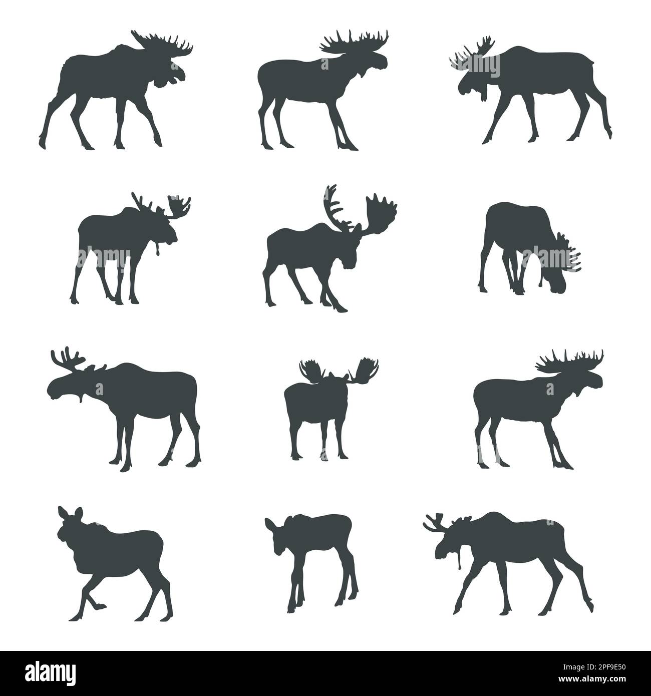 Silhouette Moose, Set silhouette Moose Illustrazione Vettoriale