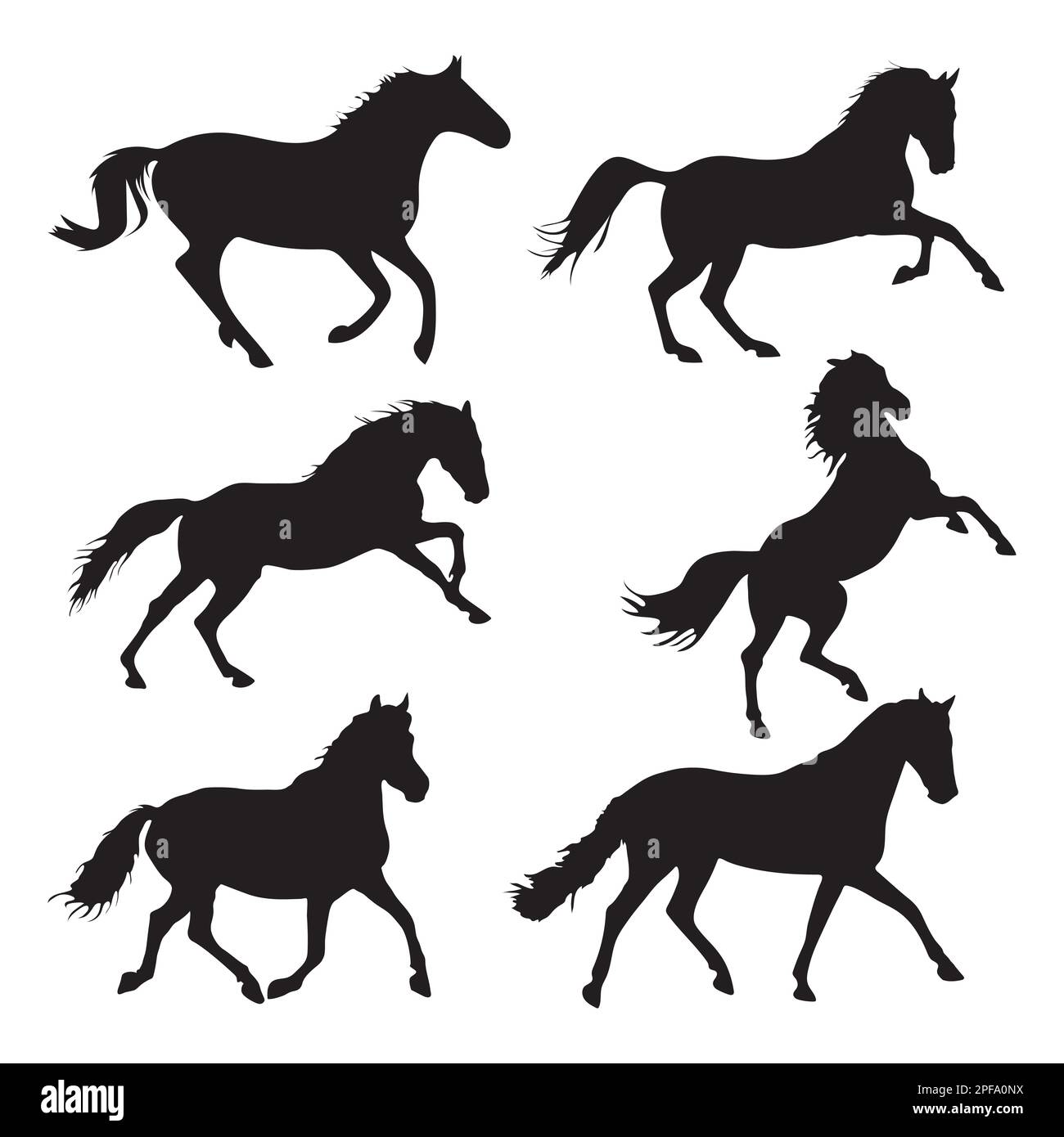 Collezione Horse silhouette, Set Horse silhouette. Silhouette a cavallo Illustrazione Vettoriale