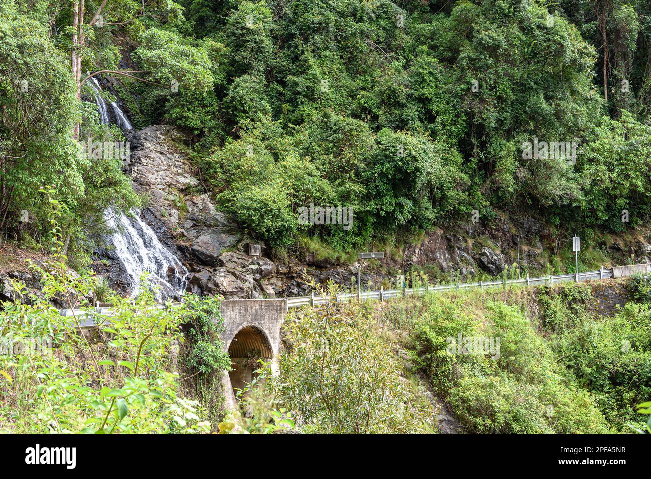 Newell Falls lungo Waterfall Way nel Dorrigo National Park Foto Stock