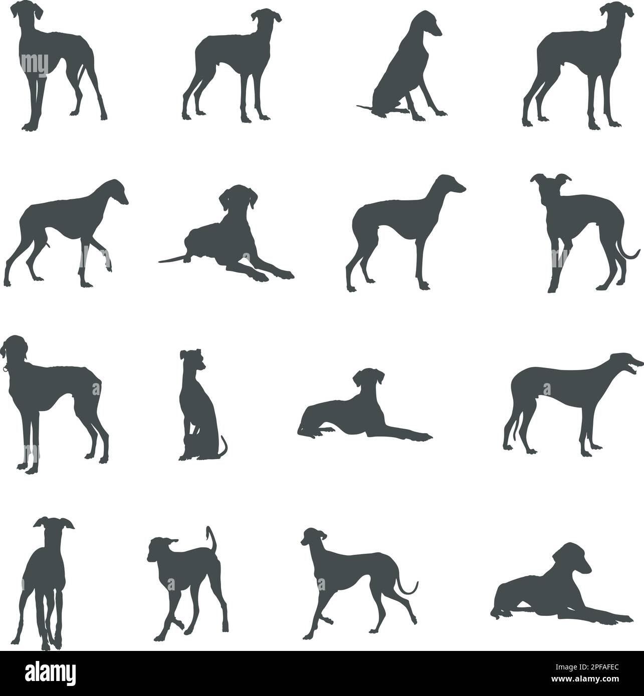 Silhouette per cani Azawakh, silhouette Azawakh, Azawakh dog SVG, Azawakh dog vector Illustrazione Vettoriale