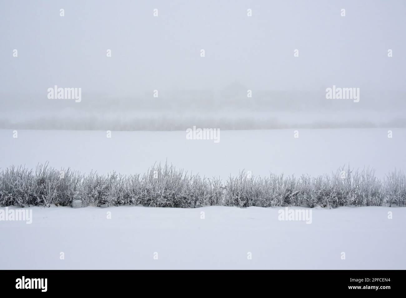 Una giornata di nebbia in Alberta Canada rurale. Foto Stock