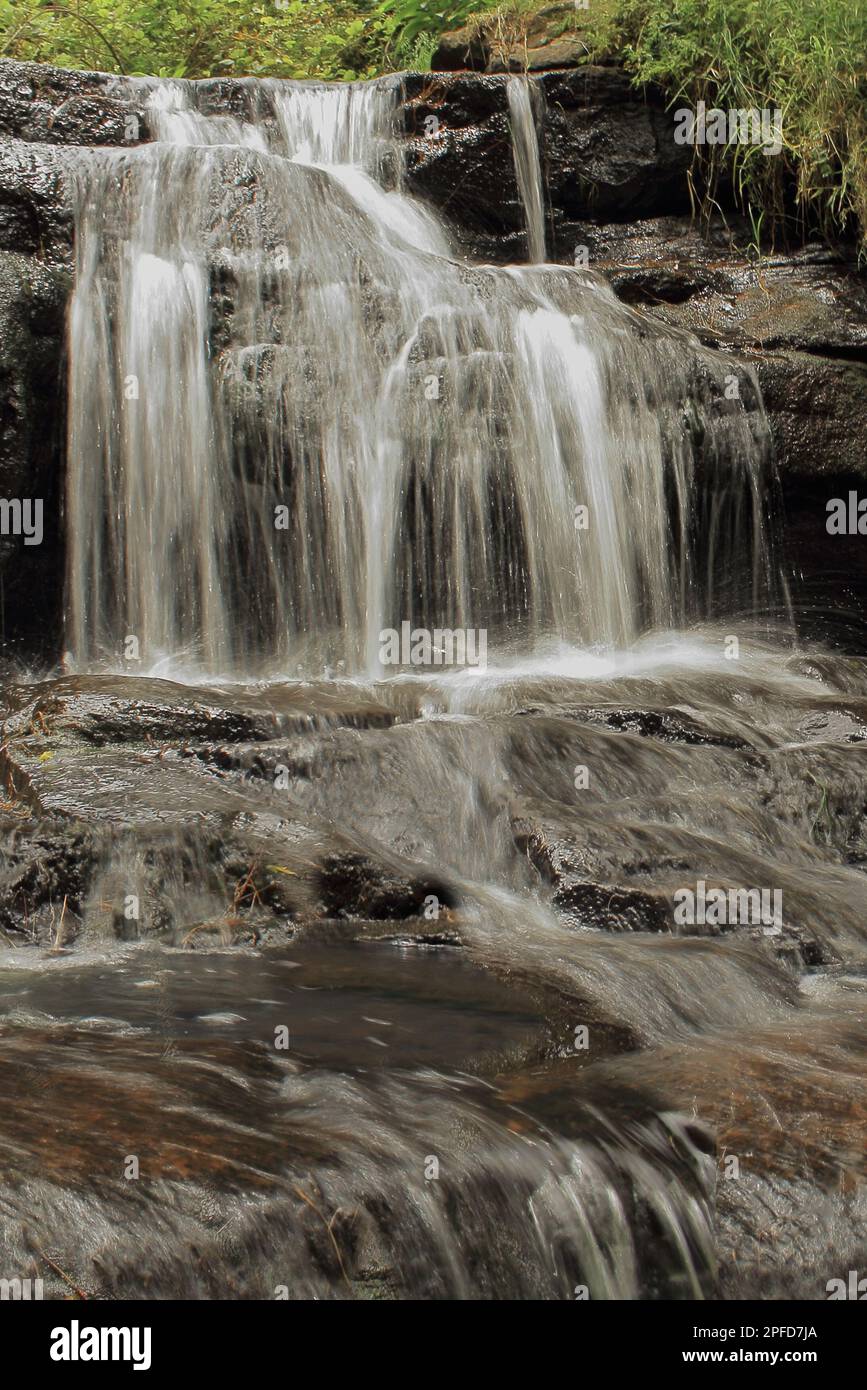 bella cascata vattakanal e ruscello levinge, palani montagna ai piedi a kodaikanal a tamilnadu, india meridionale Foto Stock