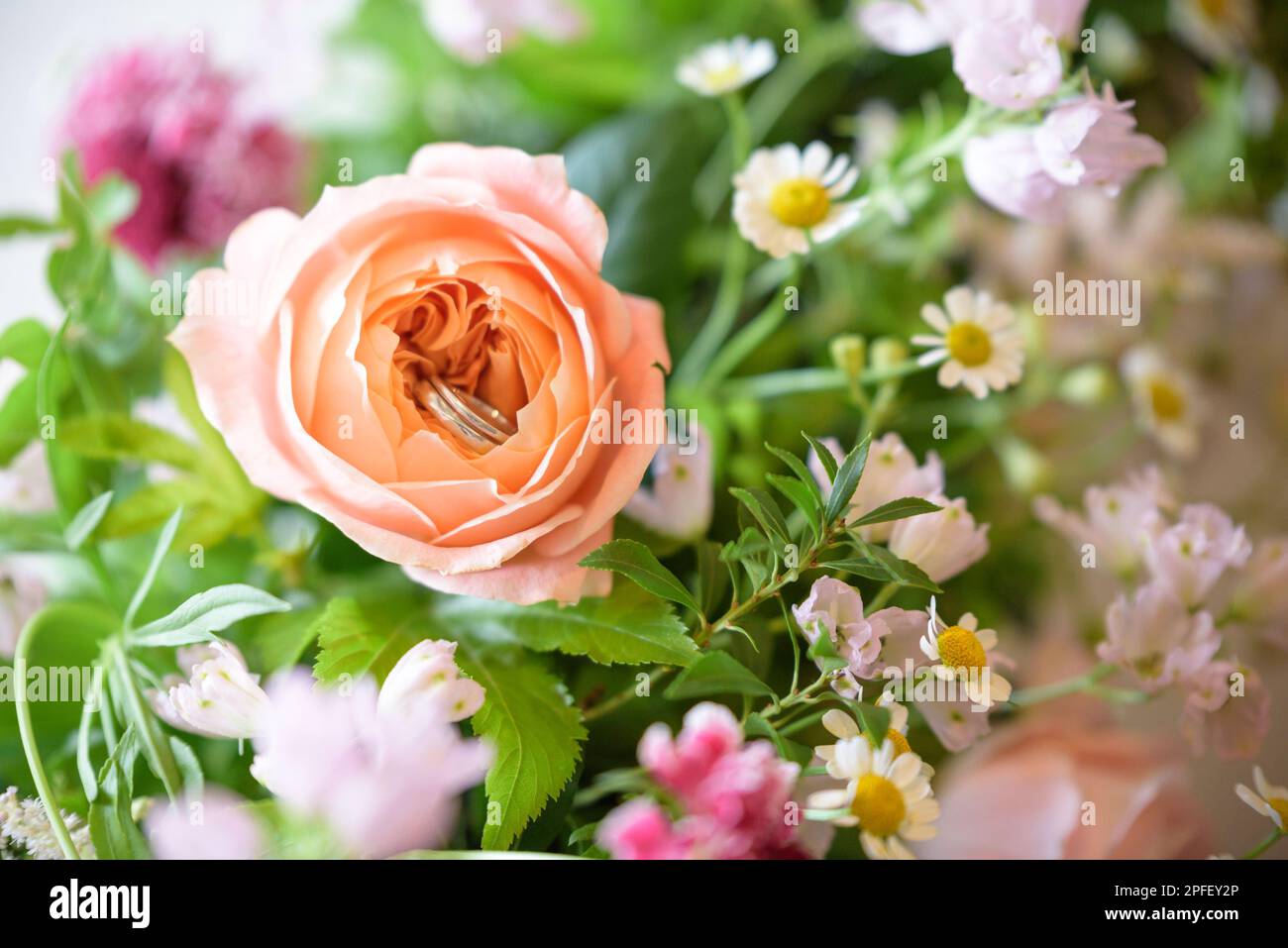 Anelli di nozze all'interno di una rosa di corallo. Bouquet di nozze. Foto Stock