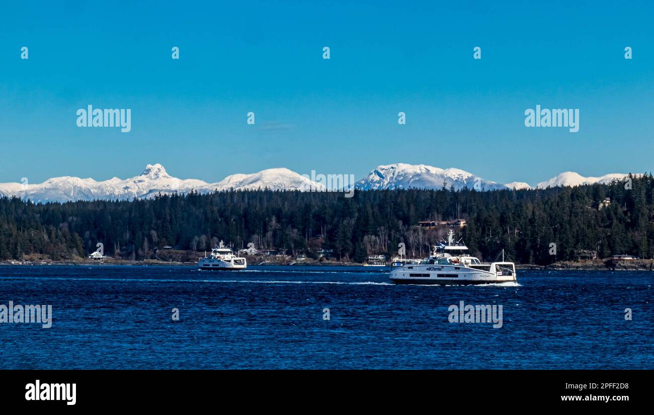 Due traghetti che viaggiano tra l'isola di Vancouver e Quadra Island, British Columbia, Canada, motori elettrici ecologici. Foto Stock