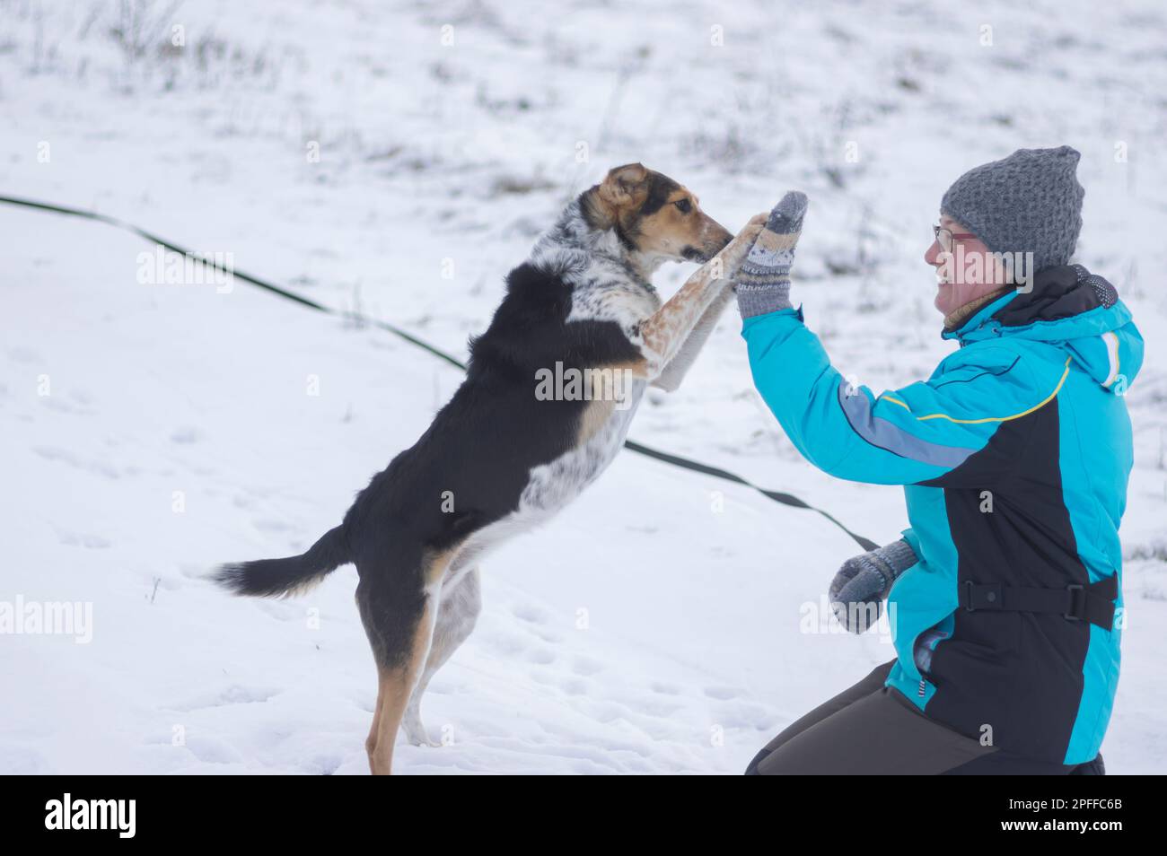 Donna matura sorridente imparando con il cane nero di razza mista su un terreno coperto di neve nella stagione invernale in Ucraina Foto Stock