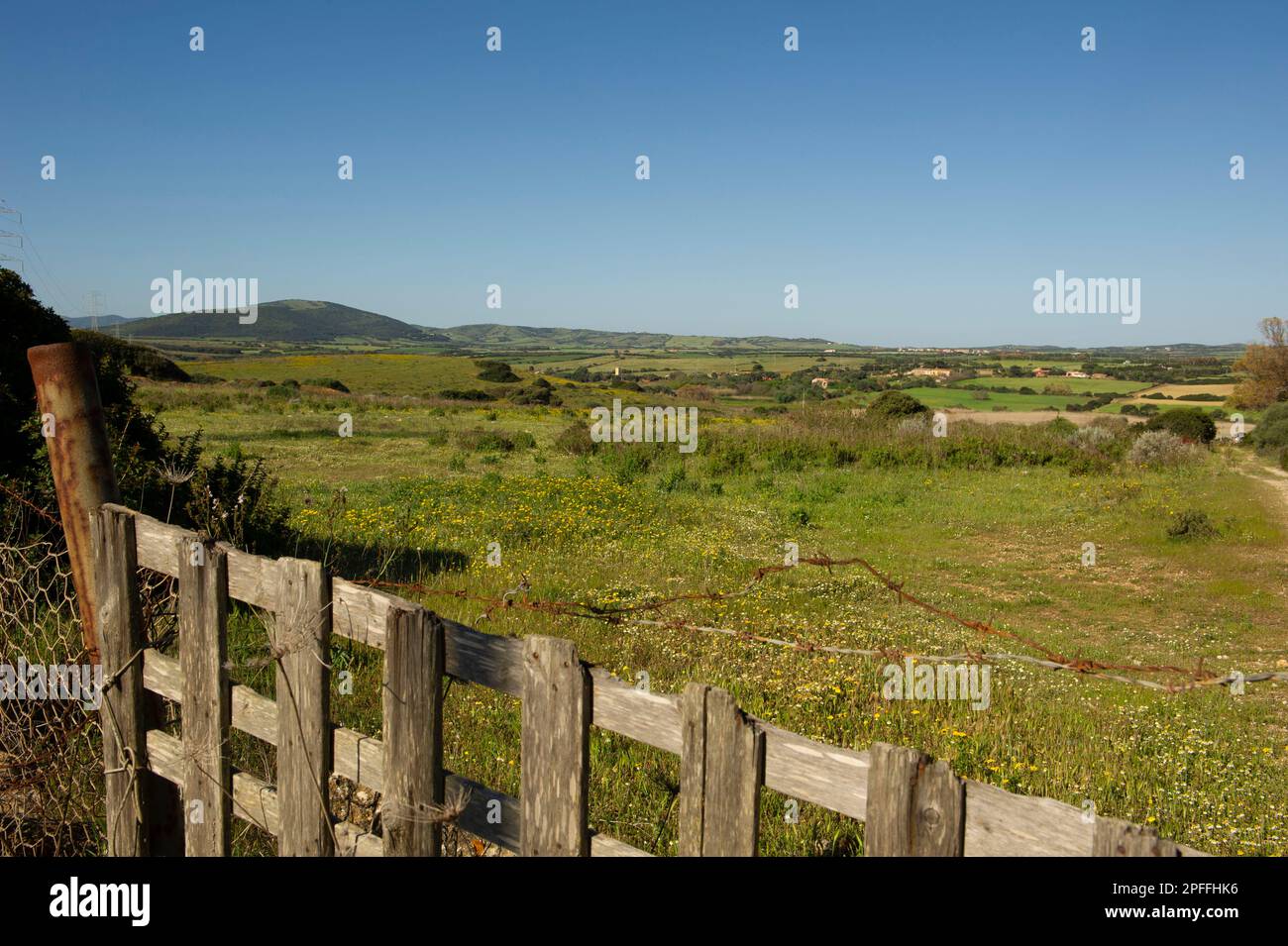 Italia, Sassari, Sardegna, Photovoltai Pannel Foto Stock