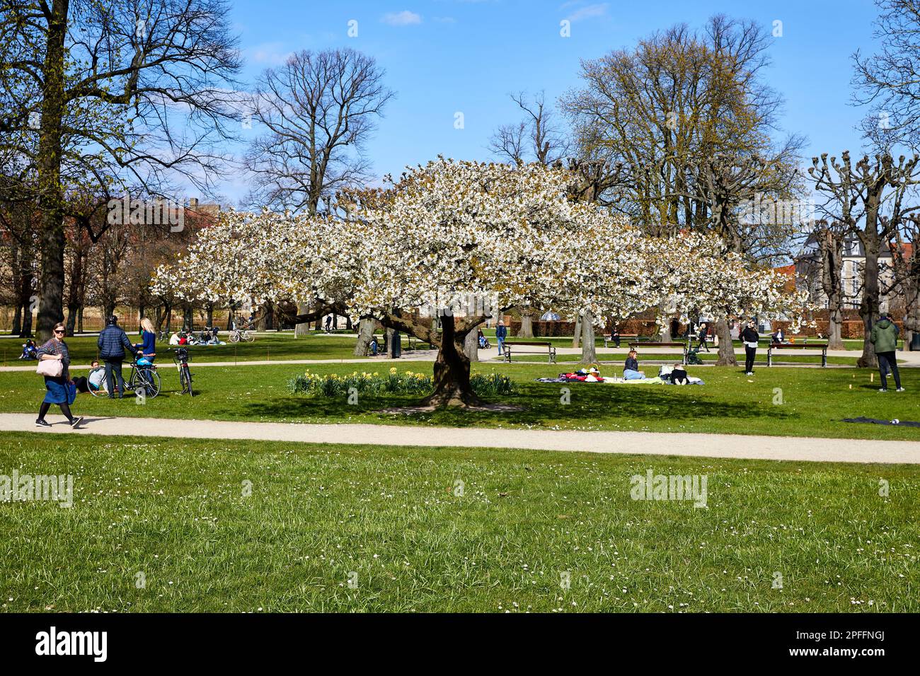Rosenborg Castle Gardens (Kongens Have), primavera; Copenaghen, Danimarca Foto Stock