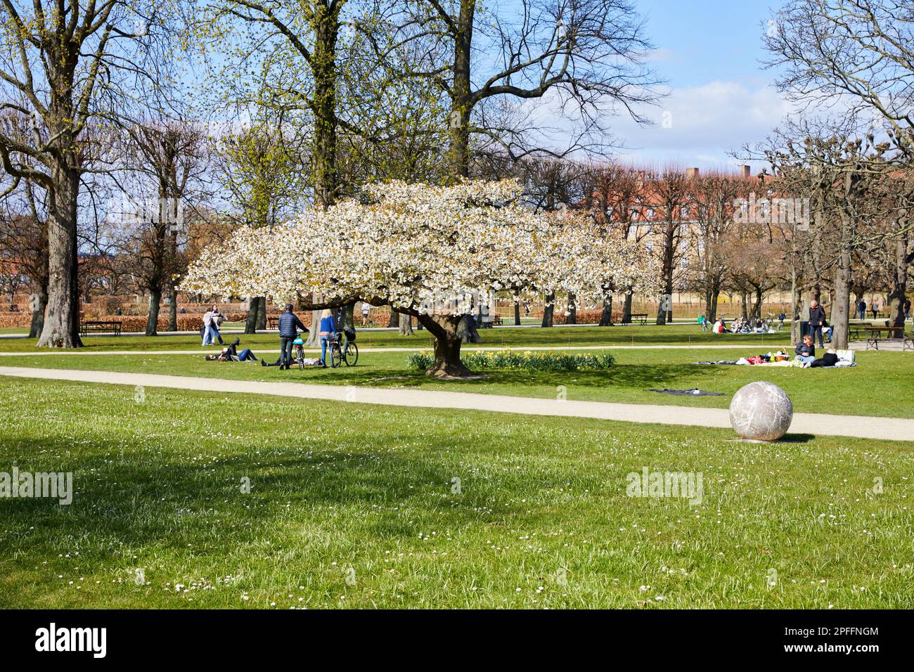 Rosenborg Castle Gardens (Kongens Have), primavera; Copenaghen, Danimarca Foto Stock