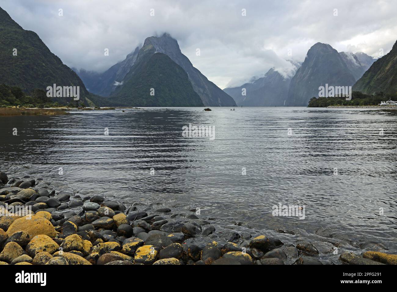 Bordo roccioso di Milford Sound - Nuova Zelanda Foto Stock