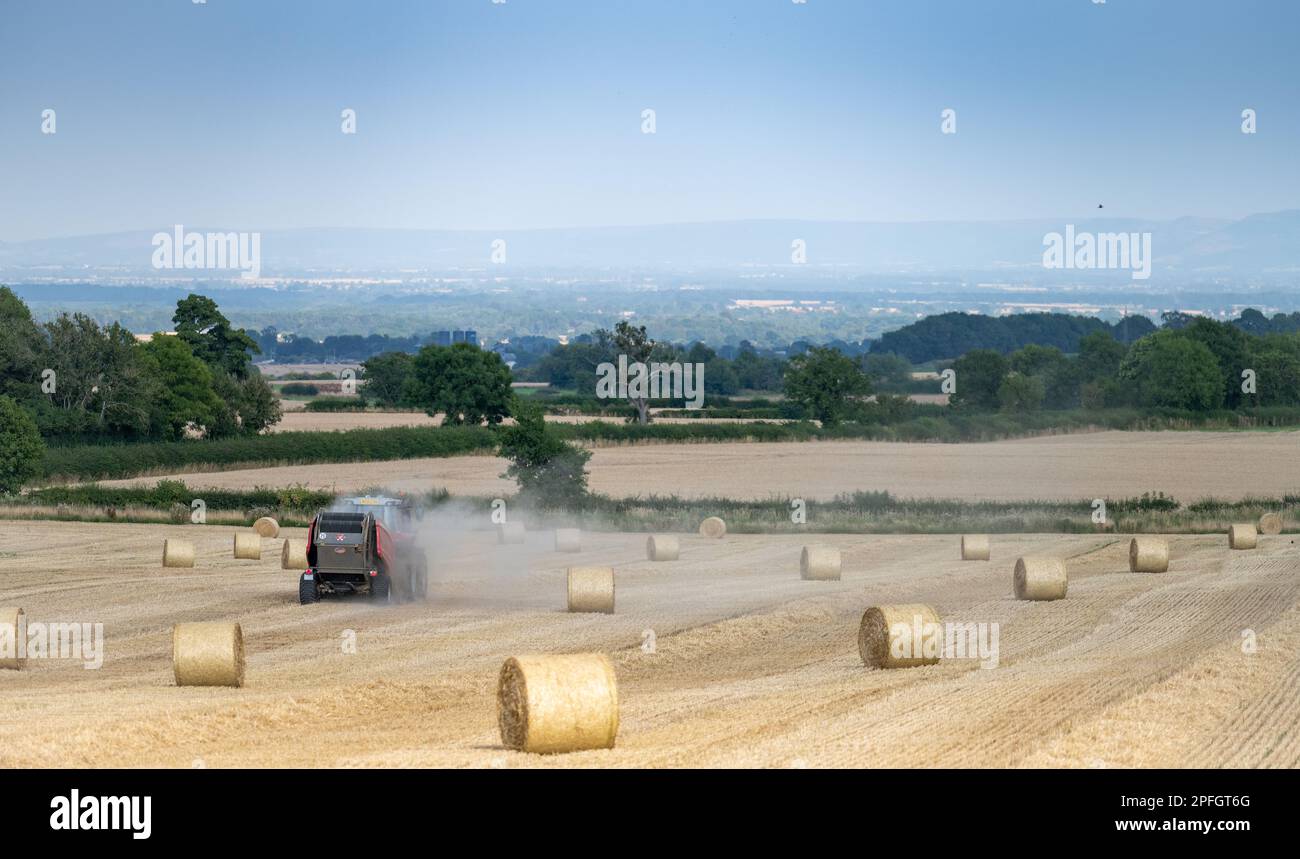 Imballare la paglia in balle rotonde con un trattore Massey Ferguson 7726 e un'imballatrice RB4160v. La paglia sarà usata per lettiera di animale. North Yorkshire, Regno Unito. Foto Stock