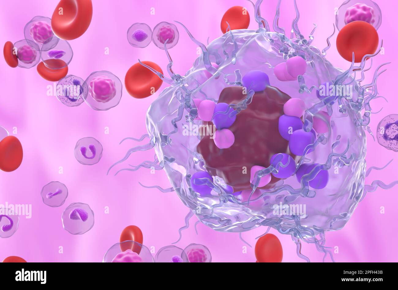 Cellule tumorali neuroendocrine metastatiche nel flusso sanguigno - 3D illustrazione vista closeup Foto Stock