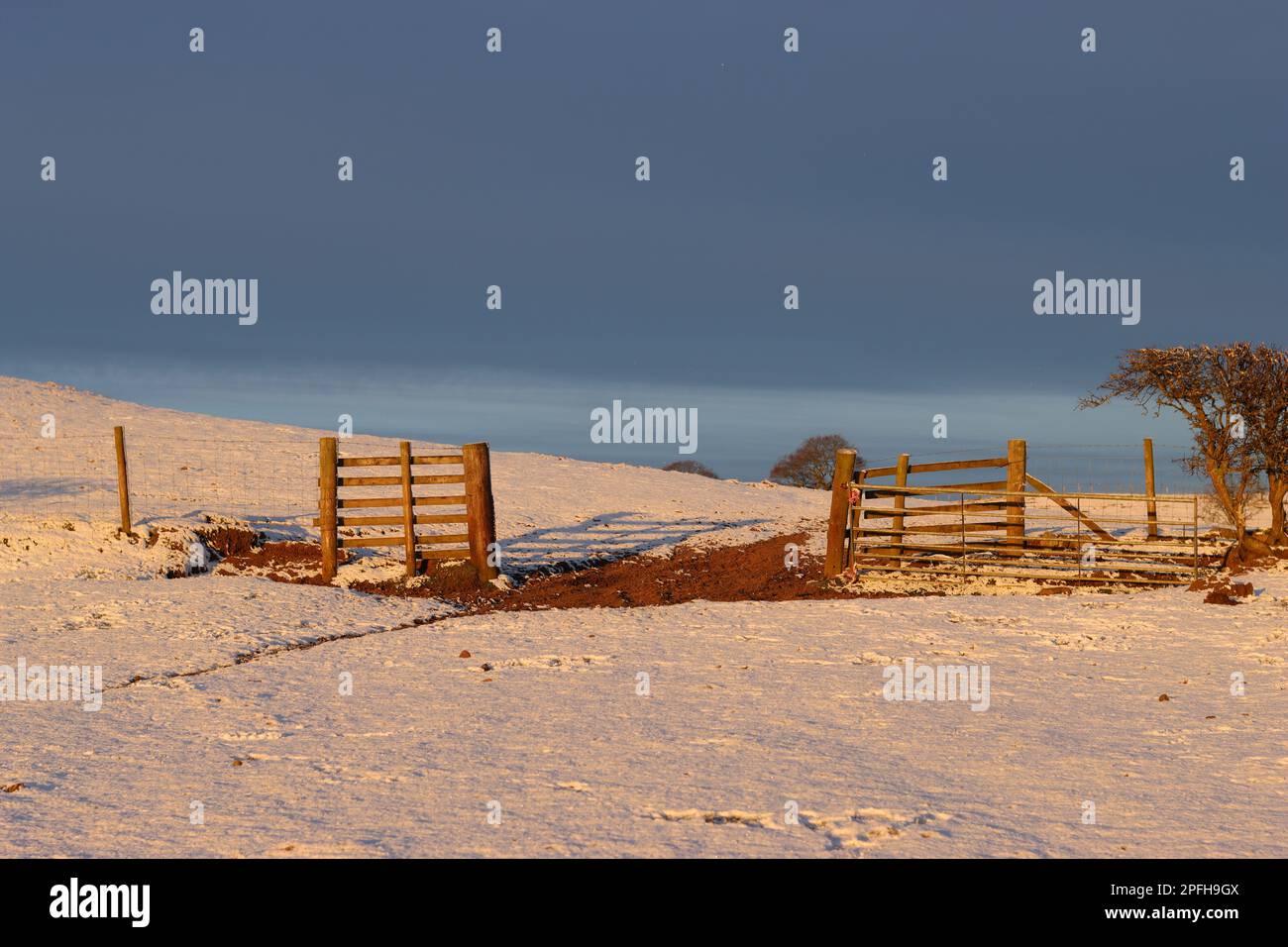 Ingresso aperto in una fattoria nella campagna rurale innevata all'alba Foto Stock