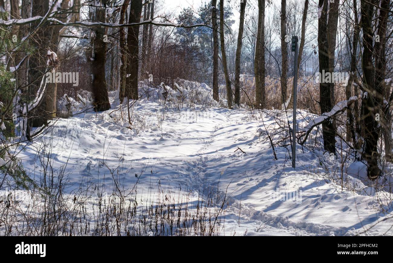 Zur Winterzeit am SEE bei Mantinghausen Foto Stock