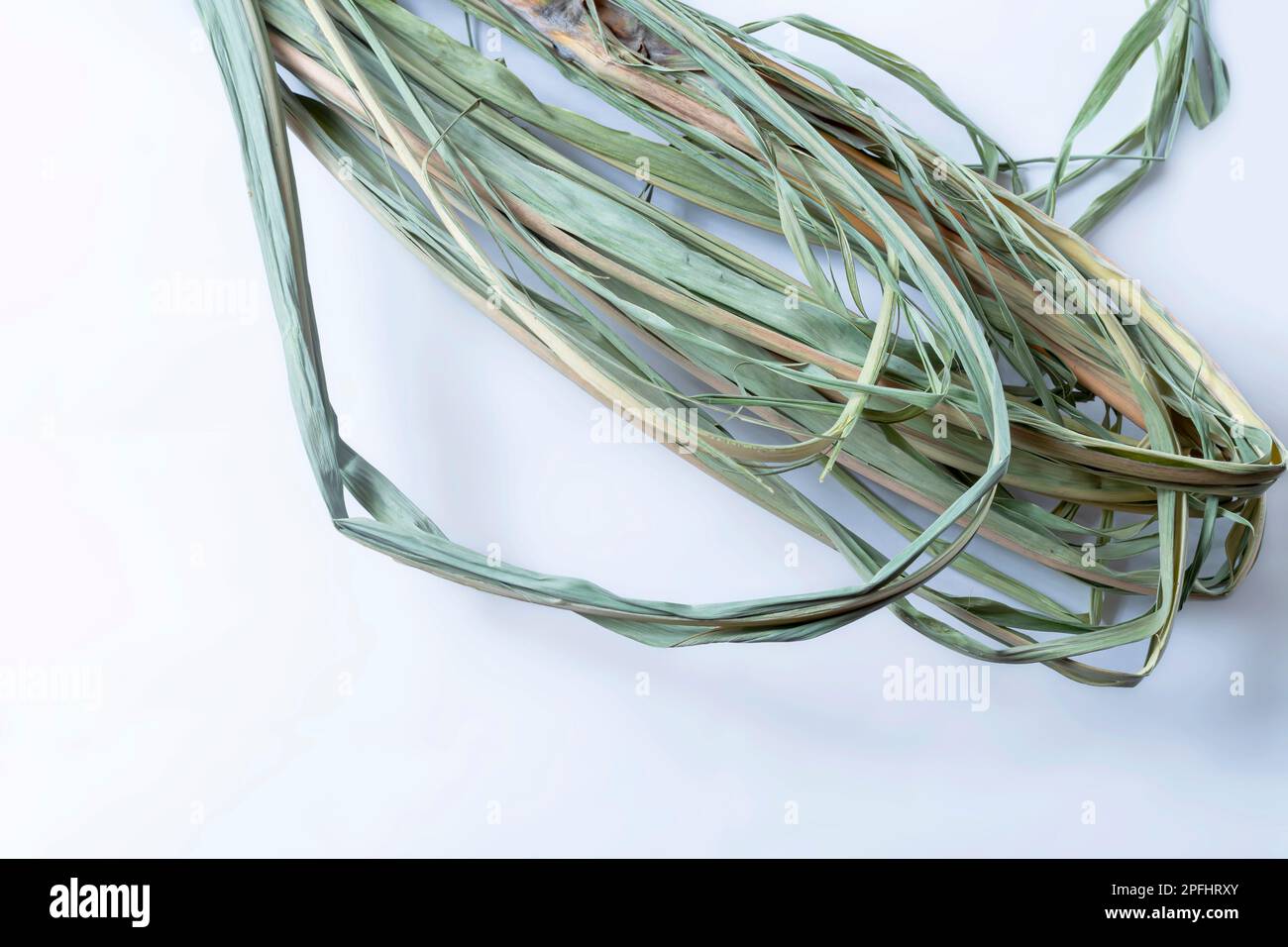 Mazzo di erba secca su sfondo bianco con spazio per il testo. vista dall'alto Foto Stock