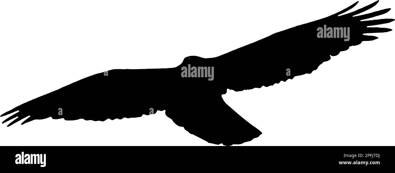 Silhouette nera di un uccello di preda in volo. Illustrazione Vettoriale