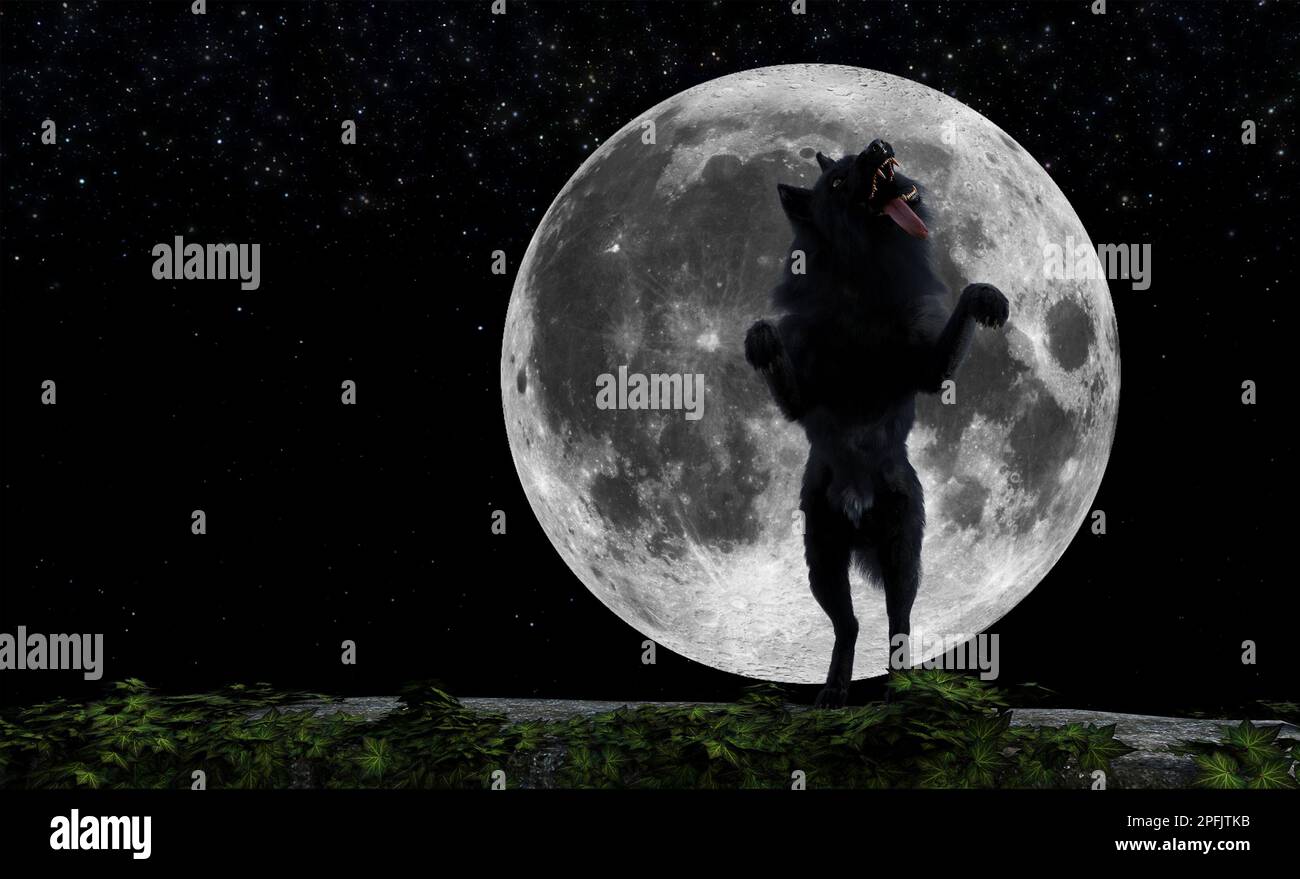 3d illustrazione di un lupo nero sulle zampe posteriori con la lingua fuori di fronte ad una luna piena che sorge. Foto Stock