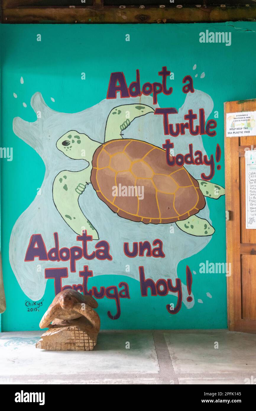 Tortuguero, Costa Rica - il centro visitatori Sea Turtle Conservancy vicino al Parco Nazionale di Tortuguero. Giant leatherback, hawksbill e Loggerhead turt Foto Stock
