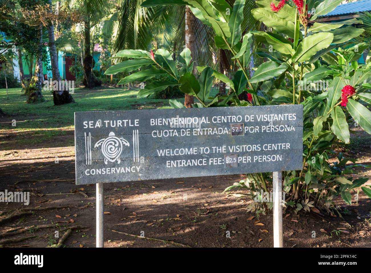 Tortuguero, Costa Rica - il centro visitatori Sea Turtle Conservancy vicino al Parco Nazionale di Tortuguero. Giant leatherback, hawksbill e Loggerhead turt Foto Stock