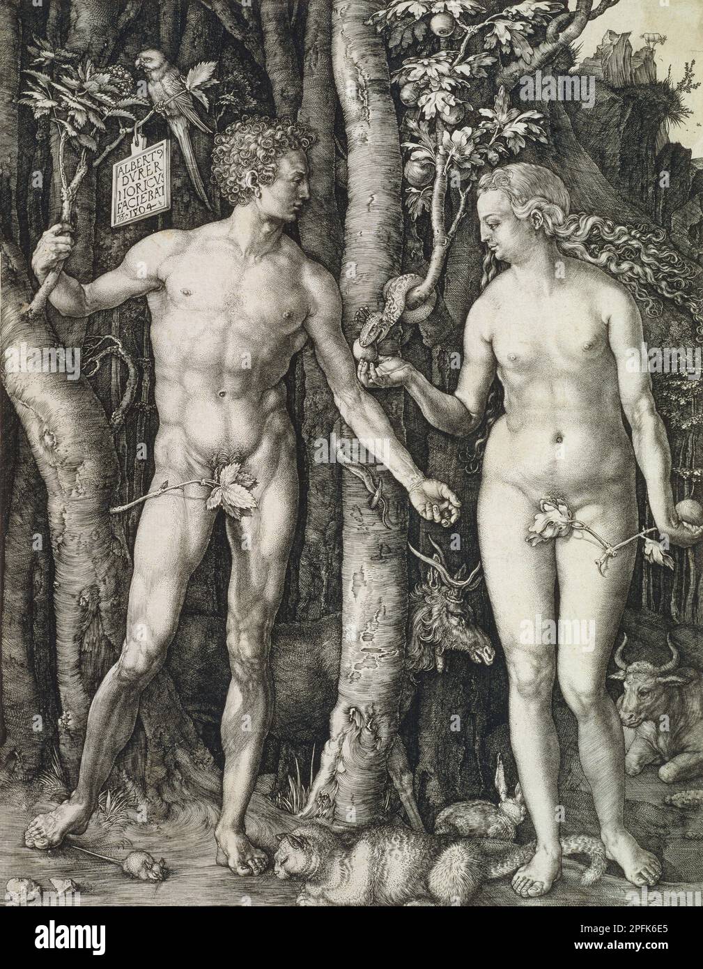 ALBRECHT Dürer Adamo ed Eva (la caduta dell'uomo), 1504 Foto Stock