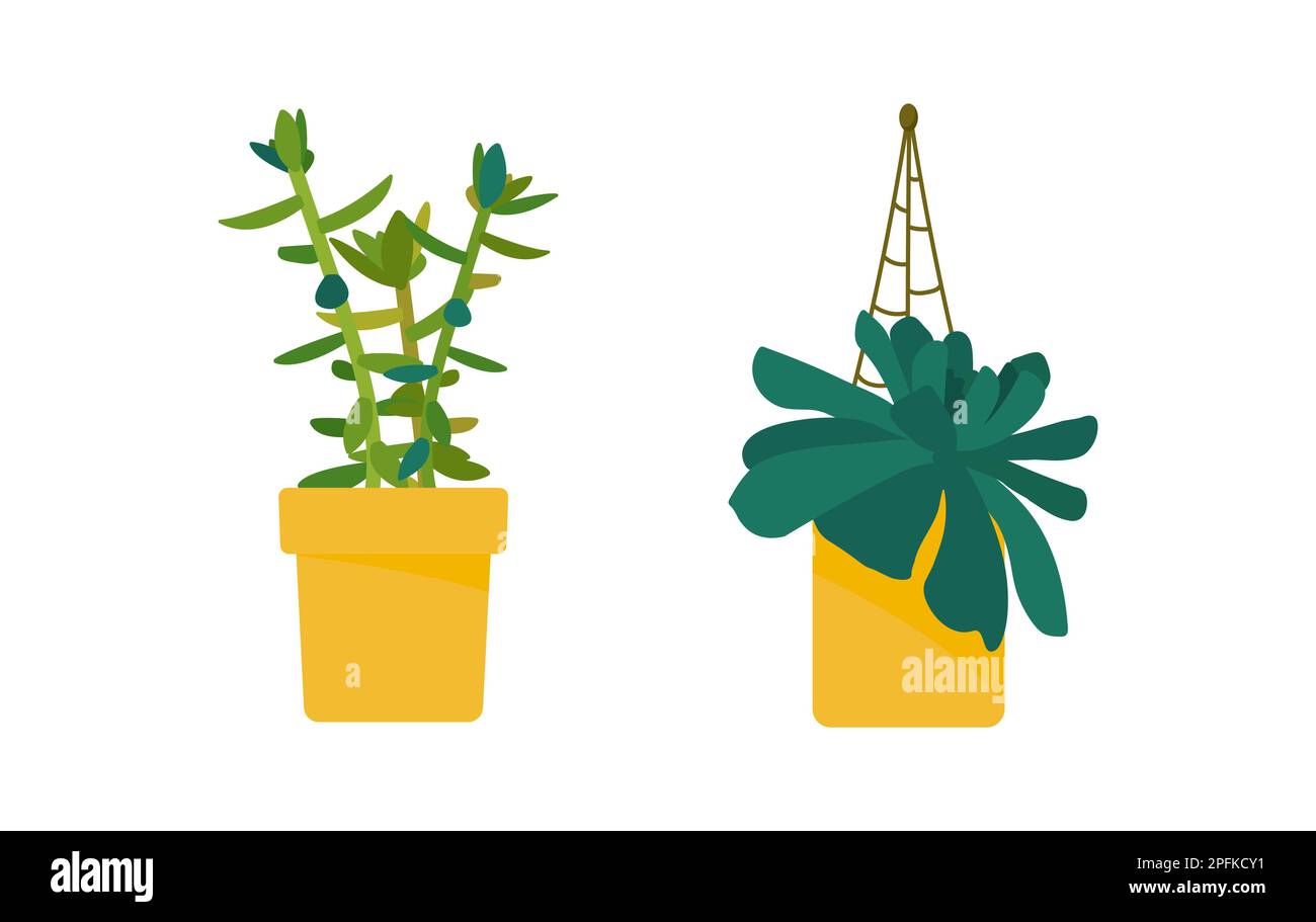 Set di piante di casa. Interni dal design scandinavo. Elemento di progettazione. Illustrazione vettoriale Illustrazione Vettoriale
