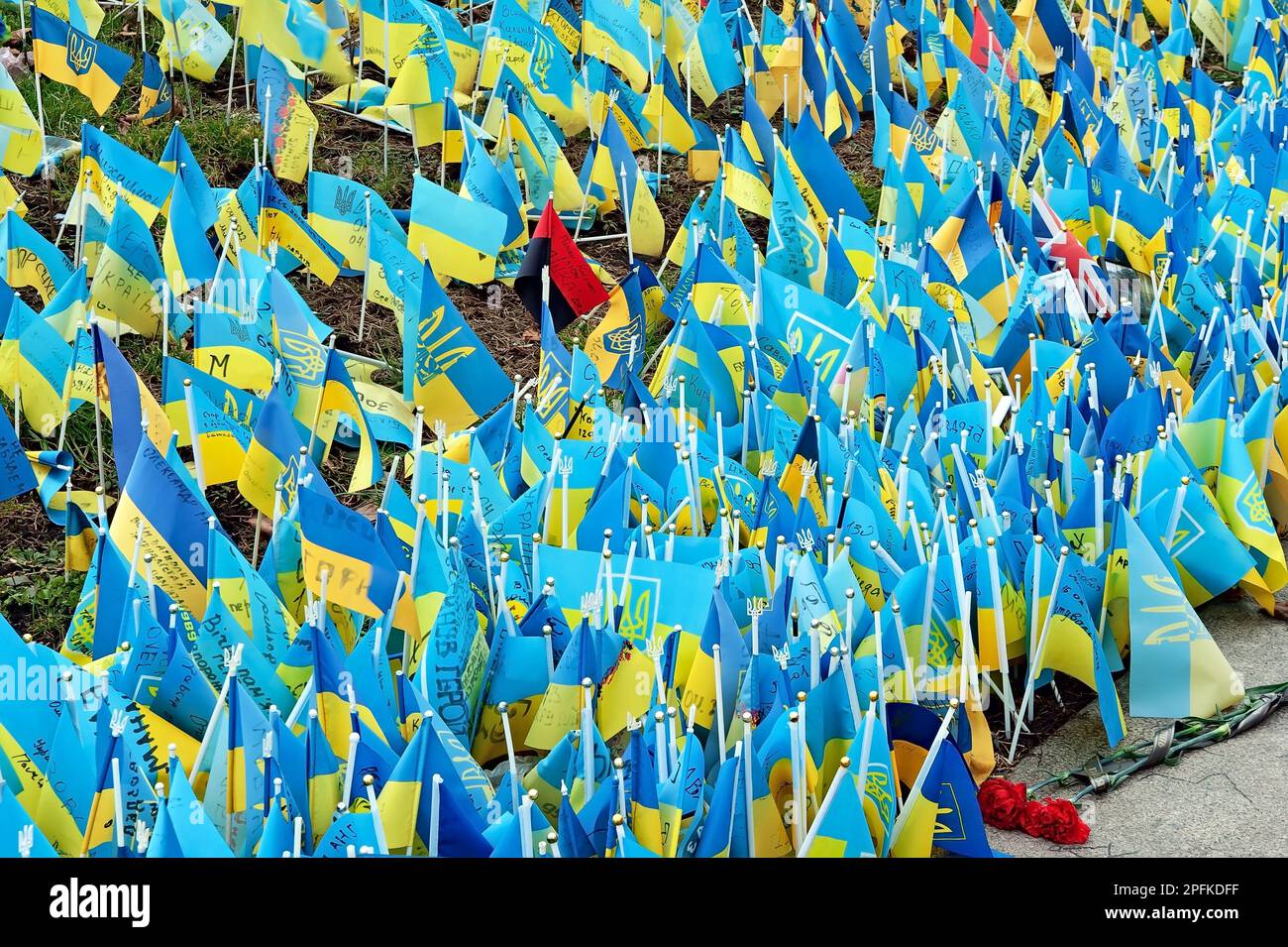 Bandiere ucraine con i nomi degli eroi uccisi e soldati dell'esercito ucraino su Maidan in Ucraina Kiev Foto Stock
