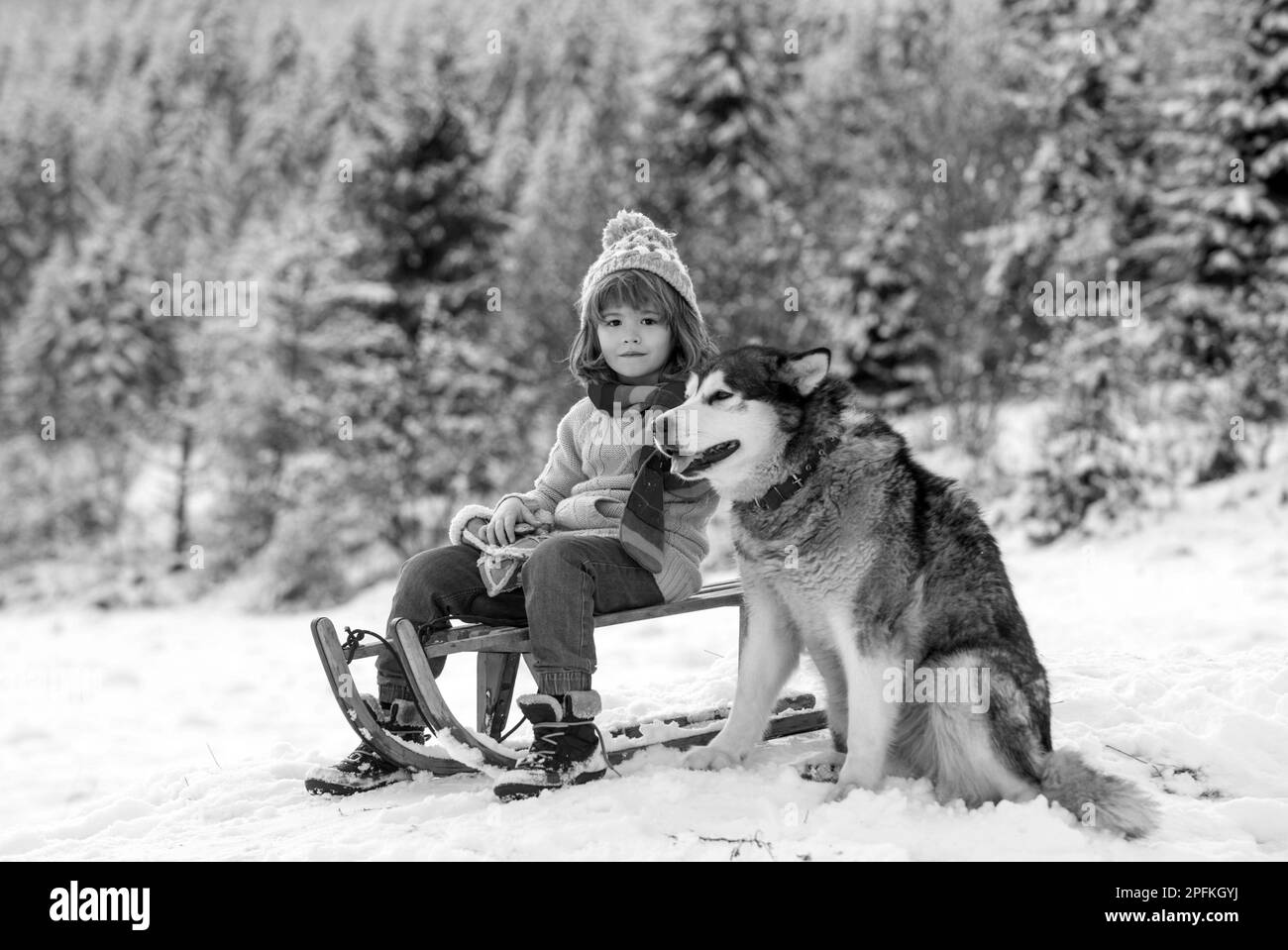 Ragazzo con cane slitta fuori in inverno. Bambini nella neve. Foto Stock