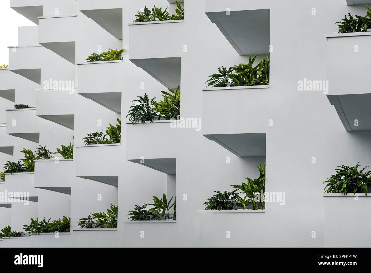 esterno di un edificio residenziale di colore bianco con piante verdi sui balconi. moderna architettura cittadina Foto Stock