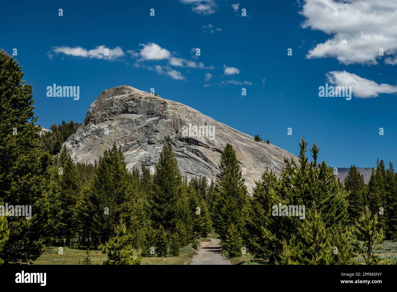 Guardando al Lembert Dome dalla foresta sottostante in Tuolumne Meadows Foto Stock