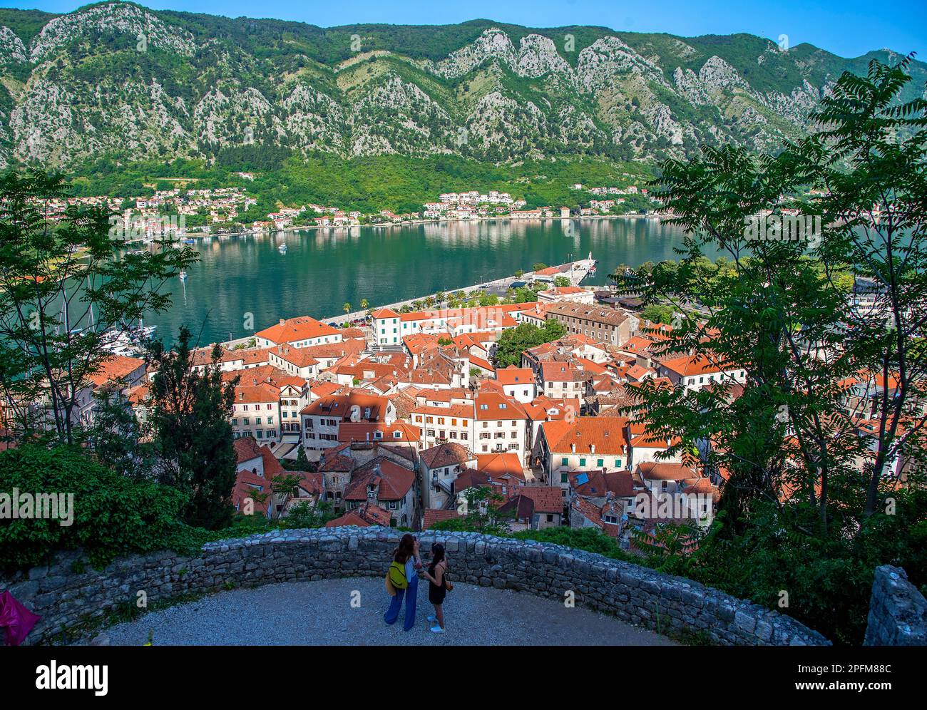 Città vecchia di Cattaro e baia di Cattaro, Montenegro Foto Stock