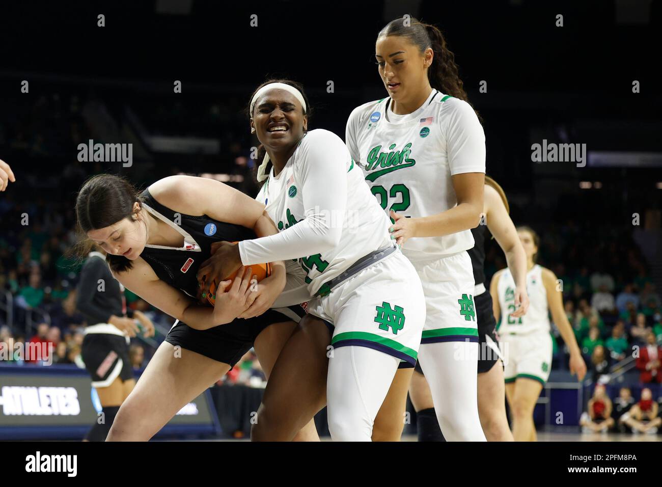 South Bend, Indiana, Stati Uniti. 17th Mar, 2023. La guardia dello Utah meridionale Tomekia Whitman (2) e la guardia di Notre Dame KK Bransford (14) si battono per la palla durante l'azione di gioco di basket NCAA Women's Tournament First Round tra i Southern Utah Thunderbirds e i Notre Dame Fighting Irish al Purcell Pavilion al Joyce Center di South Bend, Indiana. Notre Dame sconfisse lo Utah meridionale 82-56. John Mersits/CSM/Alamy Live News Foto Stock