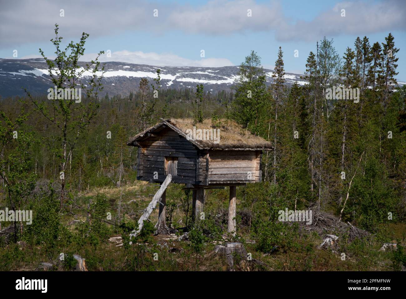 Negozio Sami casa a Majavatn in Grane comunità al confine meridionale della contea di Nordland in Norvegia. Foto Stock