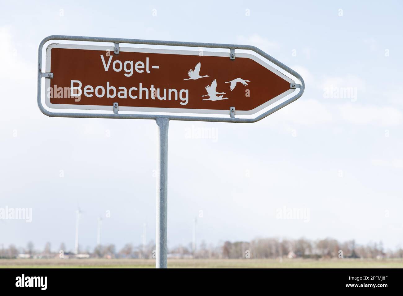 Hemsloh, Germania. 15th Mar, 2023. "Bird watching" è scritto su un cartello. Le gru stanno attualmente facendo una sosta nel Diepholzer Moorniederung. Due volte all'anno, grandi greggi di gru migrano sulla bassa Sassonia: In autunno, volano dal Nord Europa verso l'Africa, in primavera ritornano. Il Diepholzer Moorniederung è una delle più grandi aree di sosta per le gru della bassa Sassonia. Credit: Friso Gentsch/dpa/Alamy Live News Foto Stock