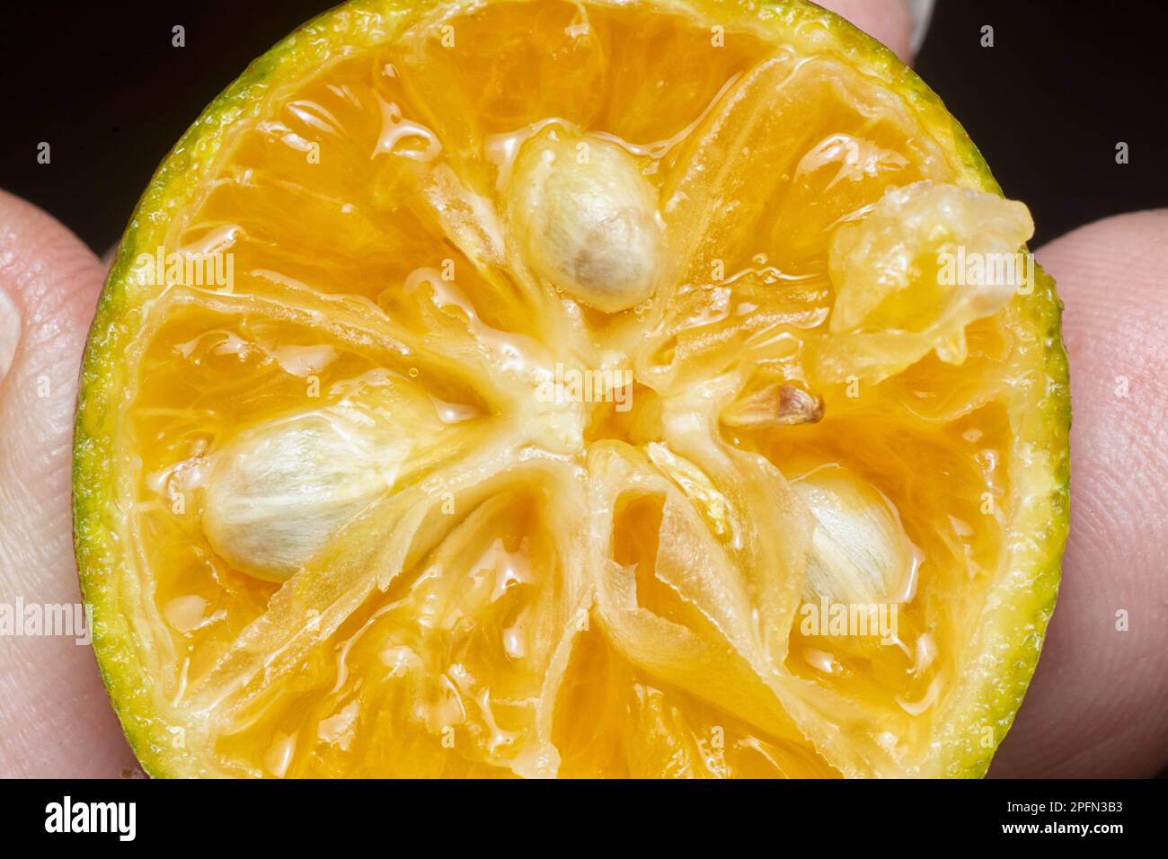 chiudi il colpo di carne di lime succosa a metà fettine. Foto Stock