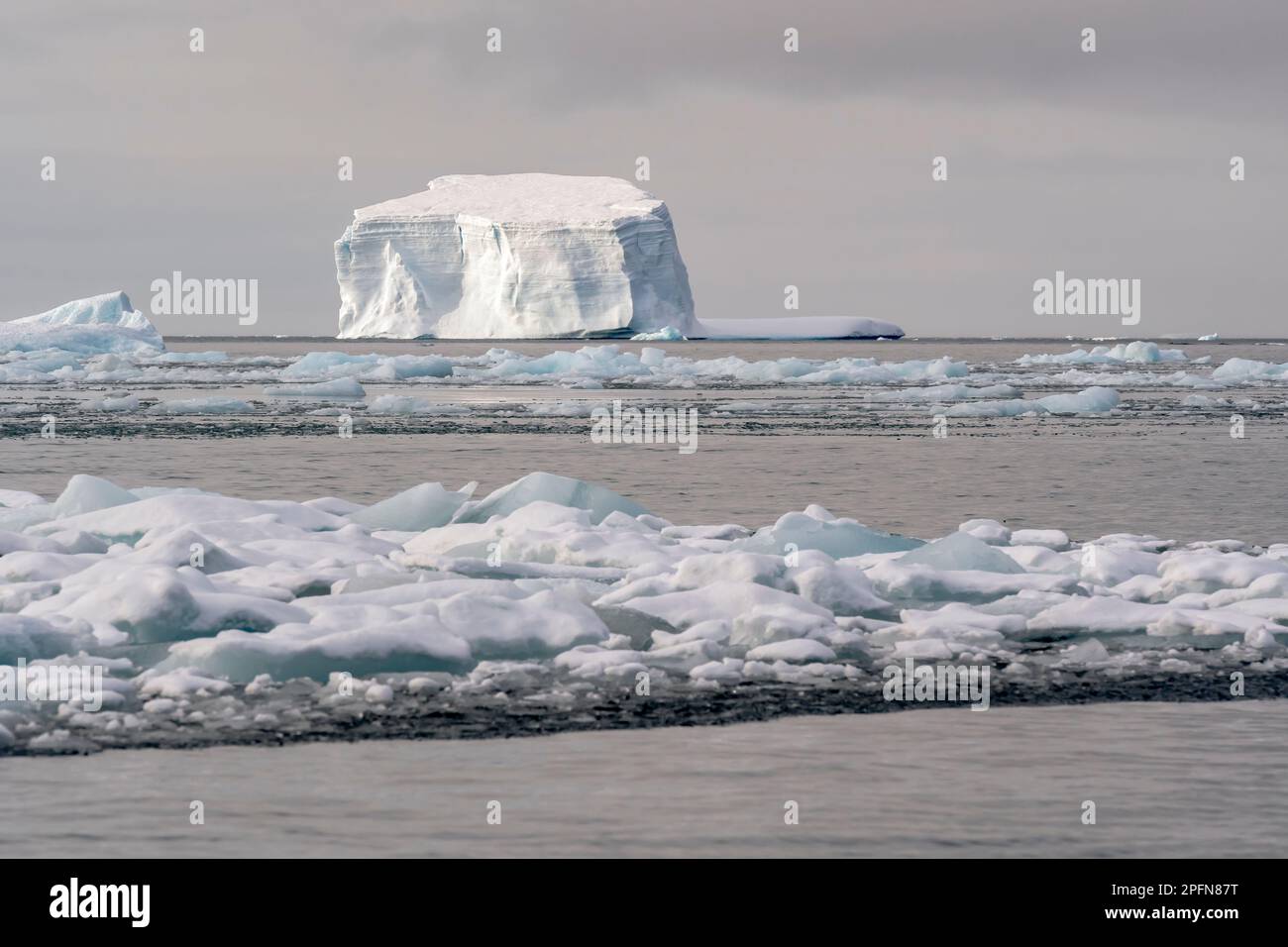 Penisola Antartica, iceberg Foto Stock