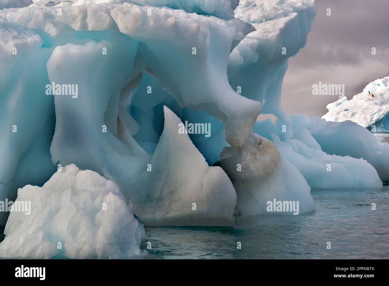 Penisola Antartica, Iceberg Foto Stock